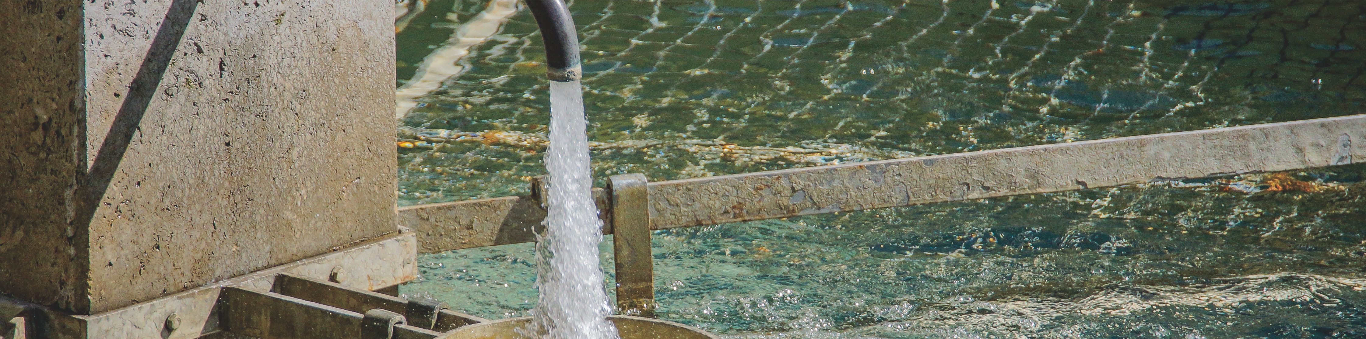 ����� | �ٷ���վ