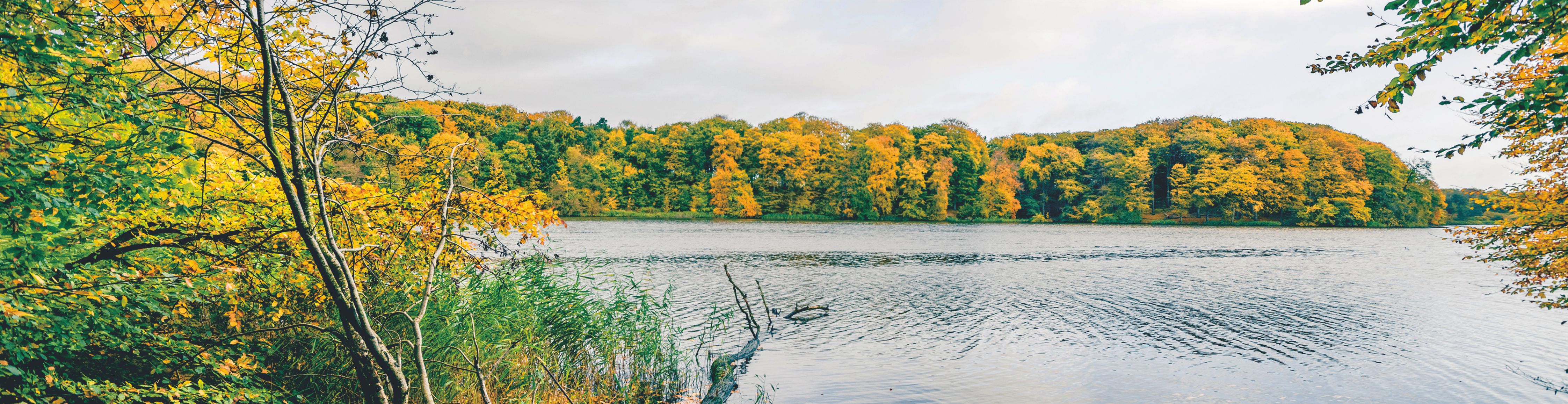 ����� | �ٷ���վ